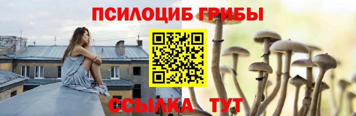Галлюциногенные грибы мицелий Обь
